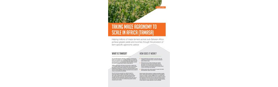Taking maize agronomy to scale in Africa (TAMASA) - Project Brief